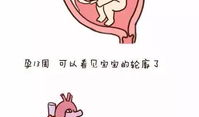 漫画妇产,温馨与挑战并存