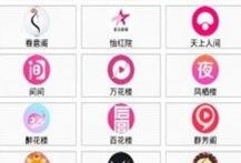 91直播钻石会员账号,解锁无限精彩，畅享专属特权