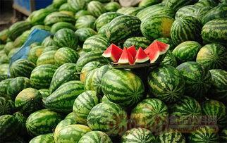 吃瓜百科今日首页,今日热点事件大盘点