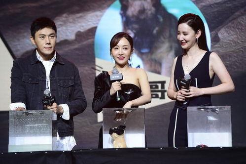 娱乐圈吧吃瓜爆料,揭秘明星背后的惊人真相！